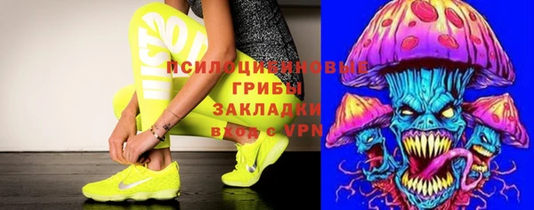 дурь Бородино