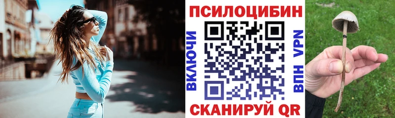 Галлюциногенные грибы MAGIC MUSHROOMS  магазин продажи   Горно-Алтайск 
