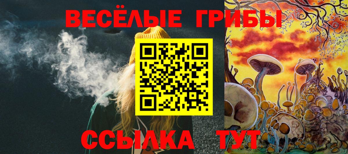 Псилоцибиновые грибы Psilocybine cubensis Горно-Алтайск