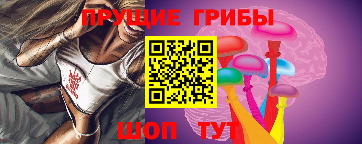 Галлюциногенные грибы MAGIC MUSHROOMS  Вход с VPN  Горно-Алтайск  Псилоцибиновые грибы GOLDEN TEACHER 